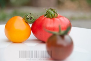 Potager tout beau, tout bio