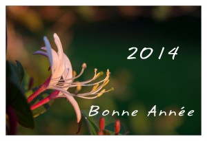 Nouvel_An_2014