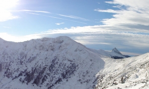 Troncais-Nature, ambiances d'ombres et de lumières