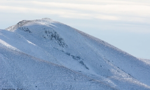 Troncais-Nature, ambiances d'ombres et de lumières