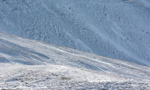 Troncais-Nature Troncais-Nature, ambiances d'ombres et de lumières d'ombres et de lumières