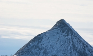 Troncais-Nature, ambiances d'ombres et de lumières