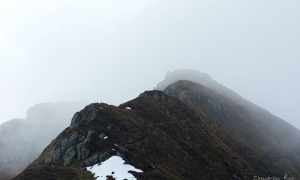 Troncais-Nature, ambiances d'ombres et de lumières