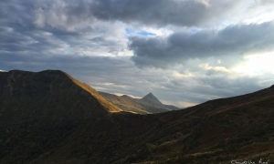 Troncais-Nature, ambiances d'ombres et de lumières