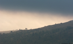 Troncais-Nature, ambiances d'ombres et de lumières