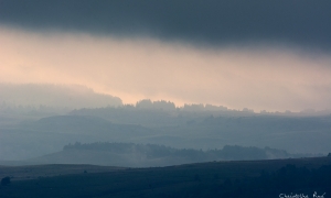 Troncais-Nature, ambiances d'ombres et de lumières