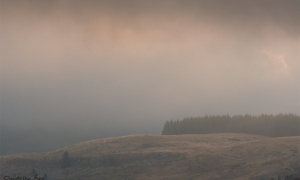 Troncais-Nature, ambiances d'ombres et de lumières