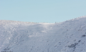 Troncais-Nature ambiances d'ombres et de lumières