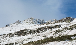 Troncais-Nature, ambiances d'ombres et de lumières