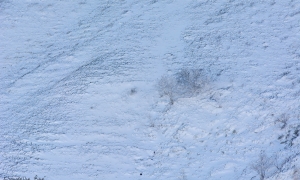 Troncais-Nature, ambiances d'ombres et de lumières