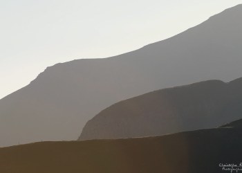 Saison de brame 2016