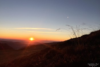 Saison de brame 2016