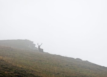 Brame Altitude