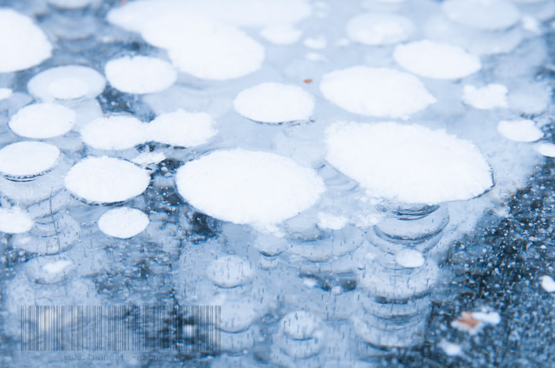 Février 2012 Février 2012