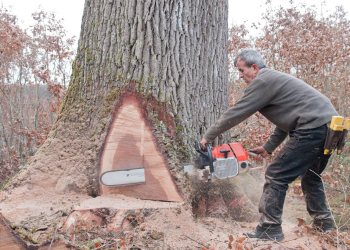 Empreinte rurale, ambiances, regards...