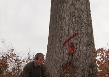 Empreinte rurale, ambiances, regards...