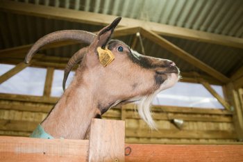 Empreinte rurale, ambiances, regards...