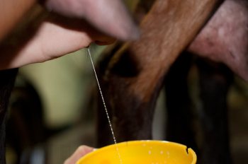 Empreinte rurale, ambiances, regards...