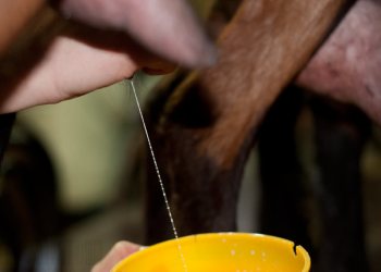 Empreinte rurale, ambiances, regards...