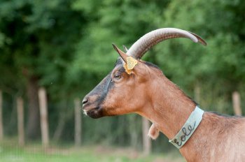 Empreinte rurale, ambiances, regards...