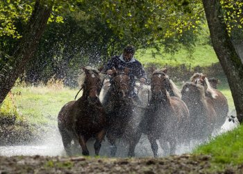 Empreinte rurale, ambiances, regards...