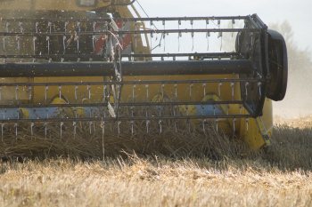 Empreinte rurale, ambiances, regards...