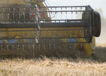 Empreinte rurale, ambiances, regards...