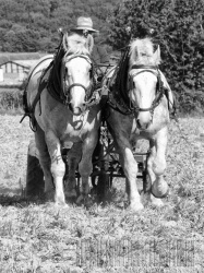 Empreinte rurale, ambiances, regards...