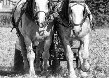 Empreinte rurale, ambiances, regards...