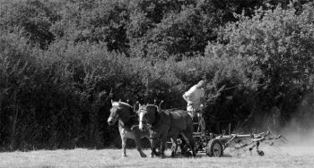 Empreinte rurale, ambiances, regards...