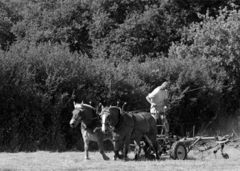 Empreinte rurale, ambiances, regards...