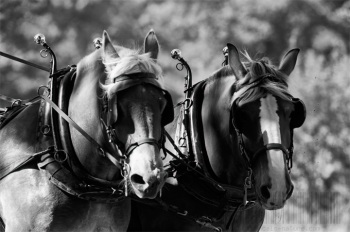 Empreinte rurale, ambiances, regards...