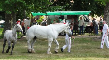 Empreinte rurale, ambiances, regards...
