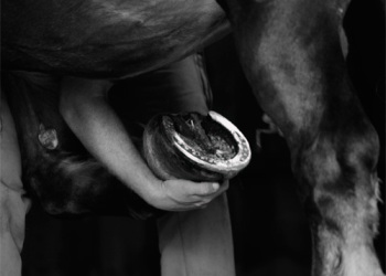 Empreinte rurale, ambiances, regards...