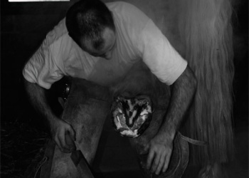 Empreinte rurale, ambiances, regards...