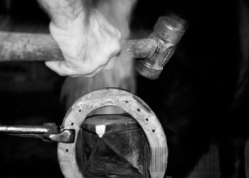 Empreinte rurale, ambiances, regards...