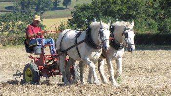 Empreinte rurale, ambiances, regards...