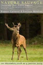 Nature Sauvage, Moulins sur Allier 2008