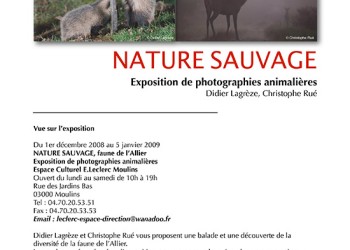 Nature Sauvage, 2008