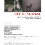 Nature Sauvage, 2008 Nature Sauvage, 2008