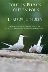 Tout en plumes, tout en poils, Office de tourisme de Bourbon l'Archambault