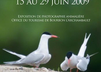 Tout en plumes, tout en poils, Office de tourisme de Bourbon l'Archambault