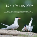 Tout en plumes, tout en poils, Office de tourisme de Bourbon l'Archambault Tout en plumes, tout en poils, Office de tourisme de Bourbon l'Archambault