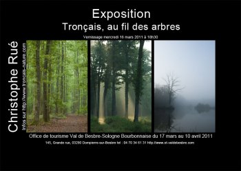 Au fil des arbres, mars 2011