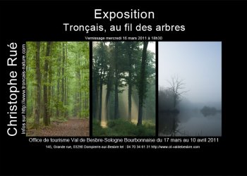 Au fil des arbres, mars 2011