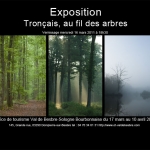 Au fil des arbres, mars 2011 Au fil des arbres, mars 2011