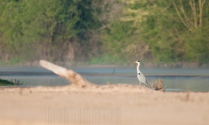 Ambiance Val d'Allier