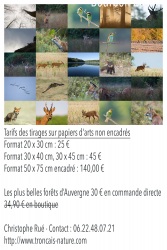 Instants Nature 2017, Bourbon l'Archambault