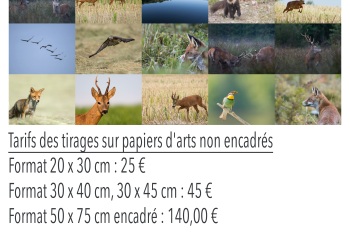 Instants Nature 2017, Bourbon l'Archambault