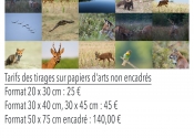 Instants Nature 2017, Bourbon l'Archambault Instants Nature 2017, Bourbon l'Archambault